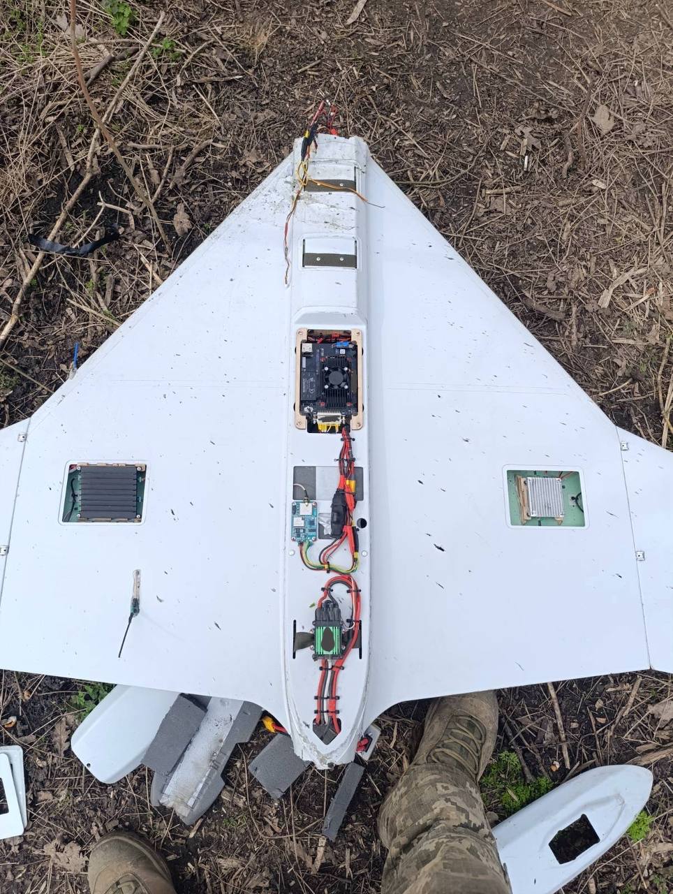 Изображение публикации af248d26-741b-4129-8361-a35eed509430