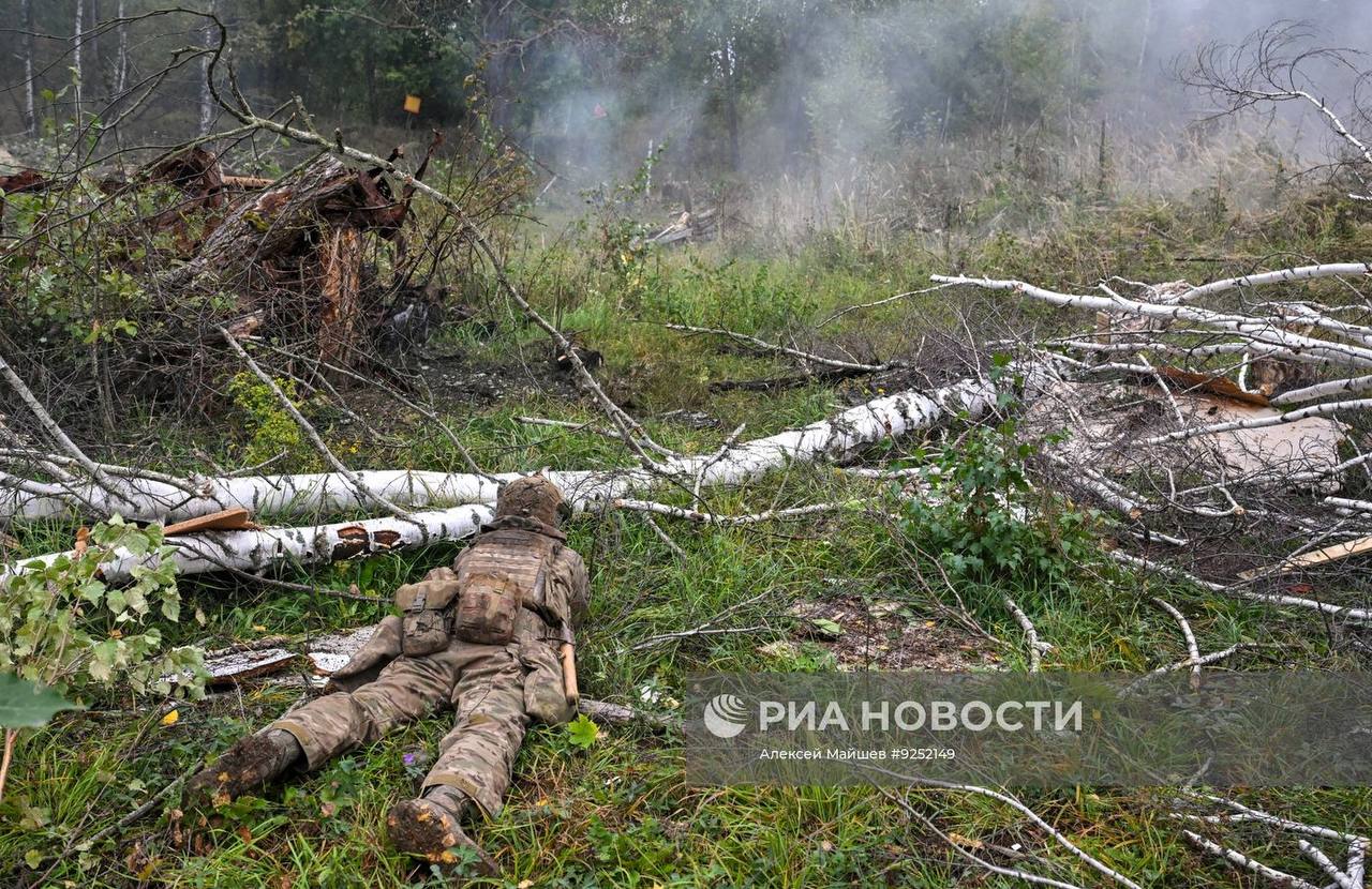 Изображение публикации b365d95b-dd50-4a48-879b-a457738d5877