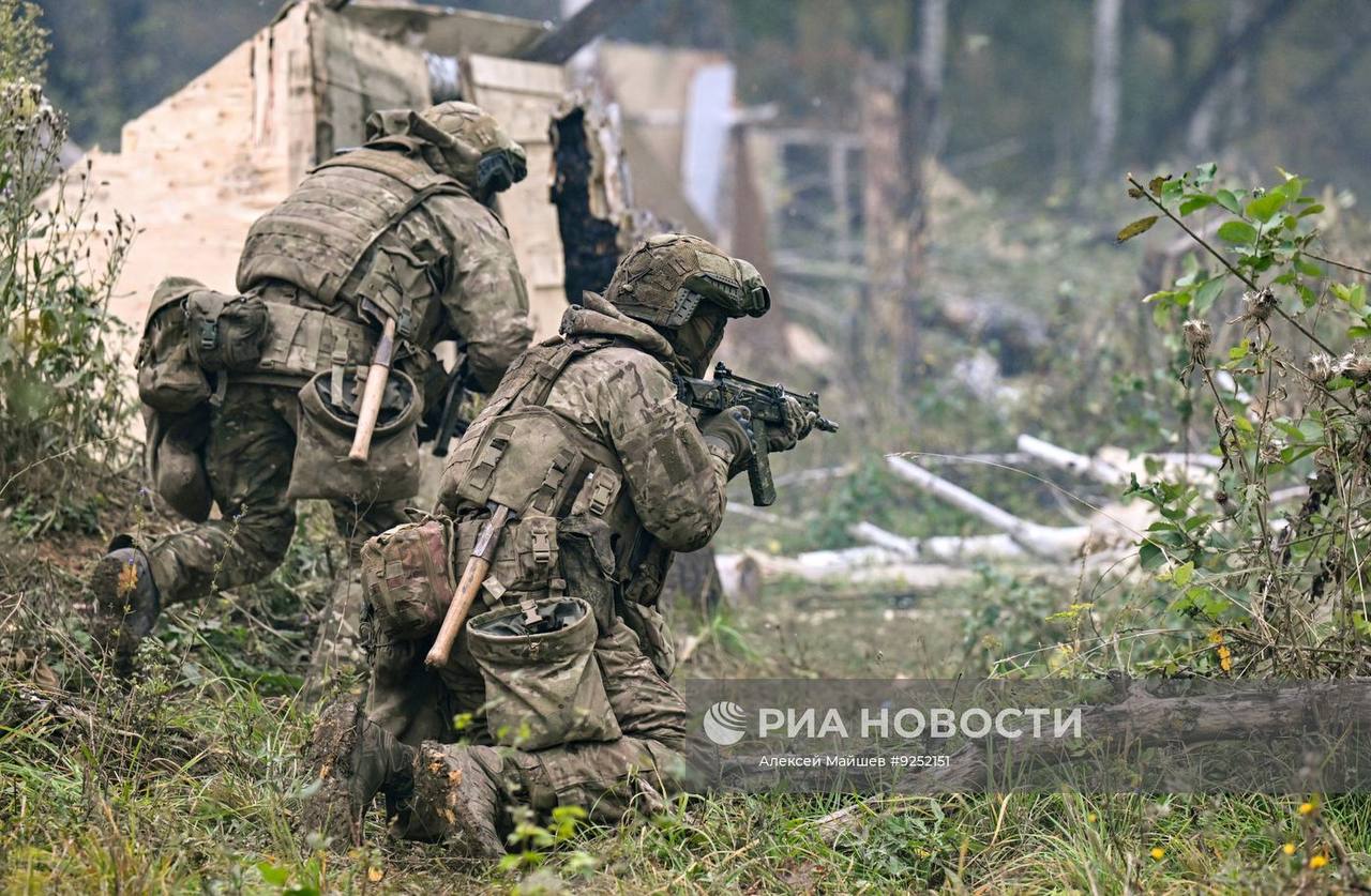 Изображение публикации b365d95b-dd50-4a48-879b-a457738d5877