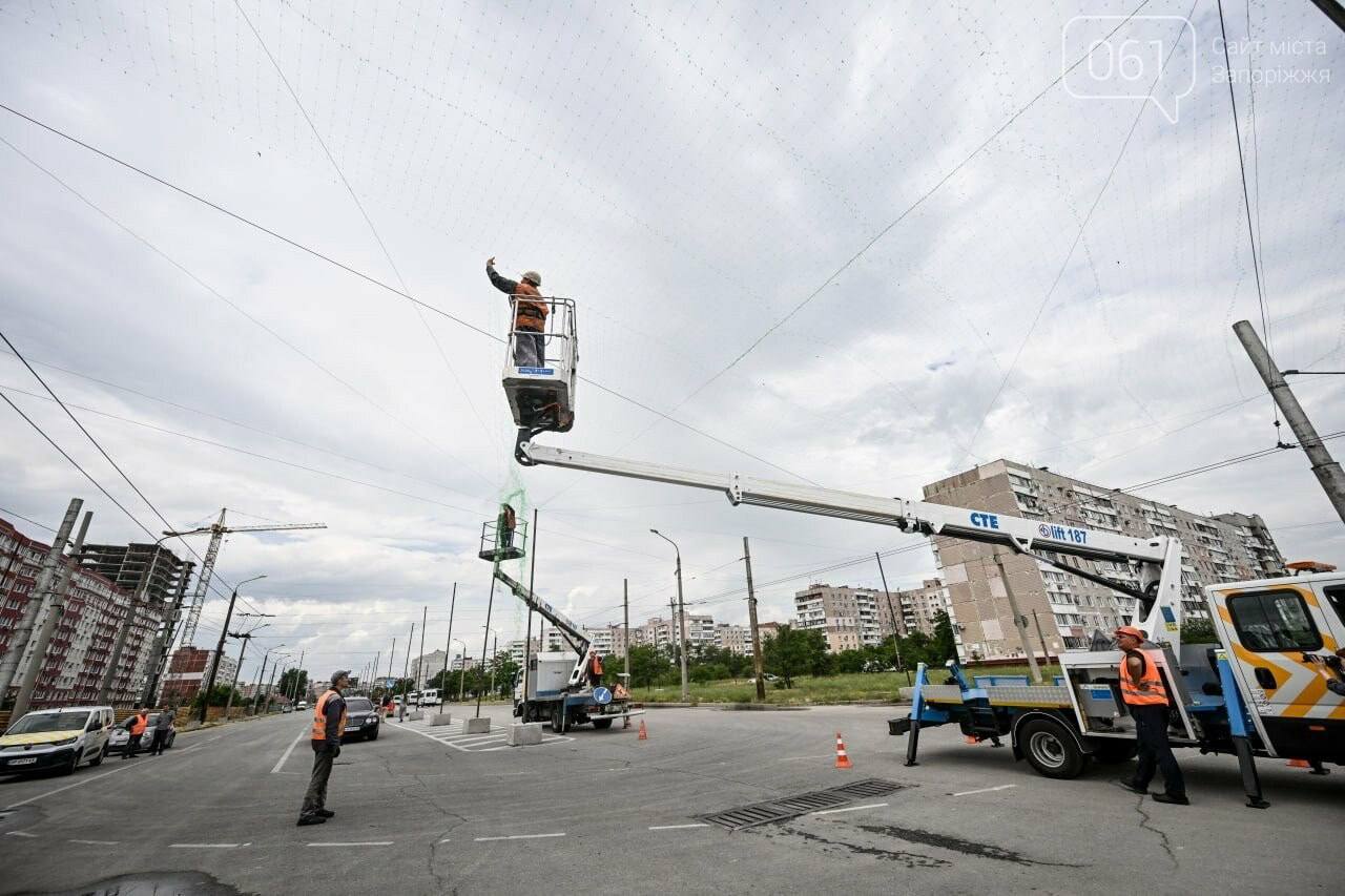 Изображение публикации b57480c0-5e48-4d22-981f-e8b345a28e23