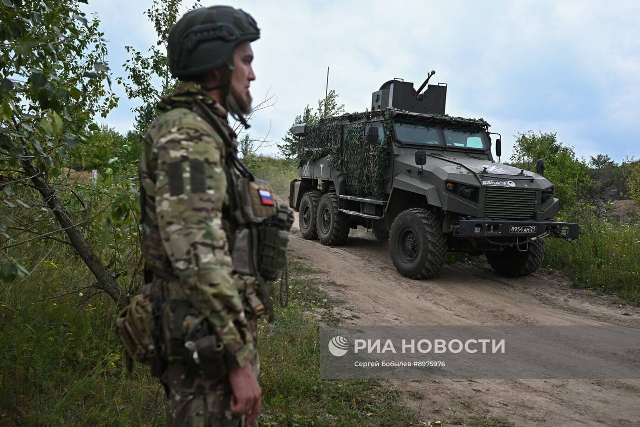 Изображение публикации bb29a6b4-a510-430e-ab3d-2fa17848c672
