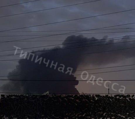 Изображение публикации be638564-3416-497a-9100-913457efd53d