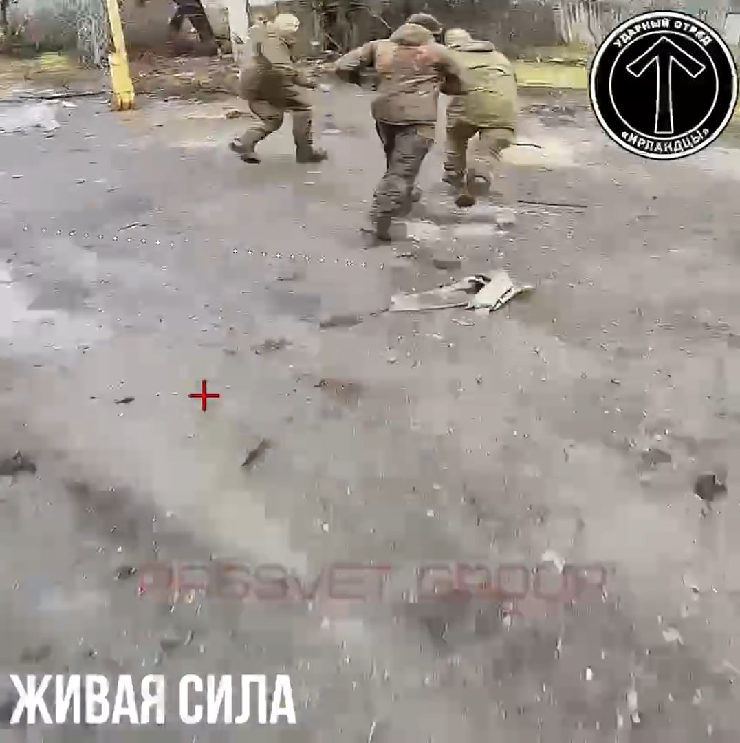 Изображение публикации c00951e5-5f6d-4256-9d5b-0554689bcb29