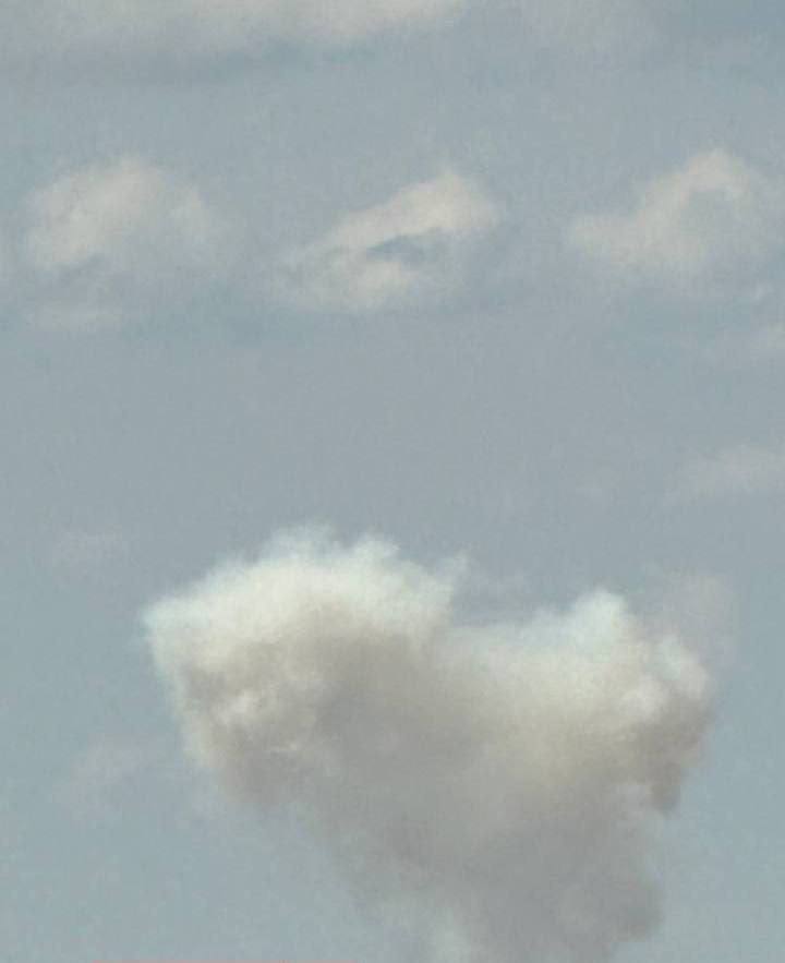 Изображение публикации c4d31302-afb3-432e-9f65-309cb8f8129b