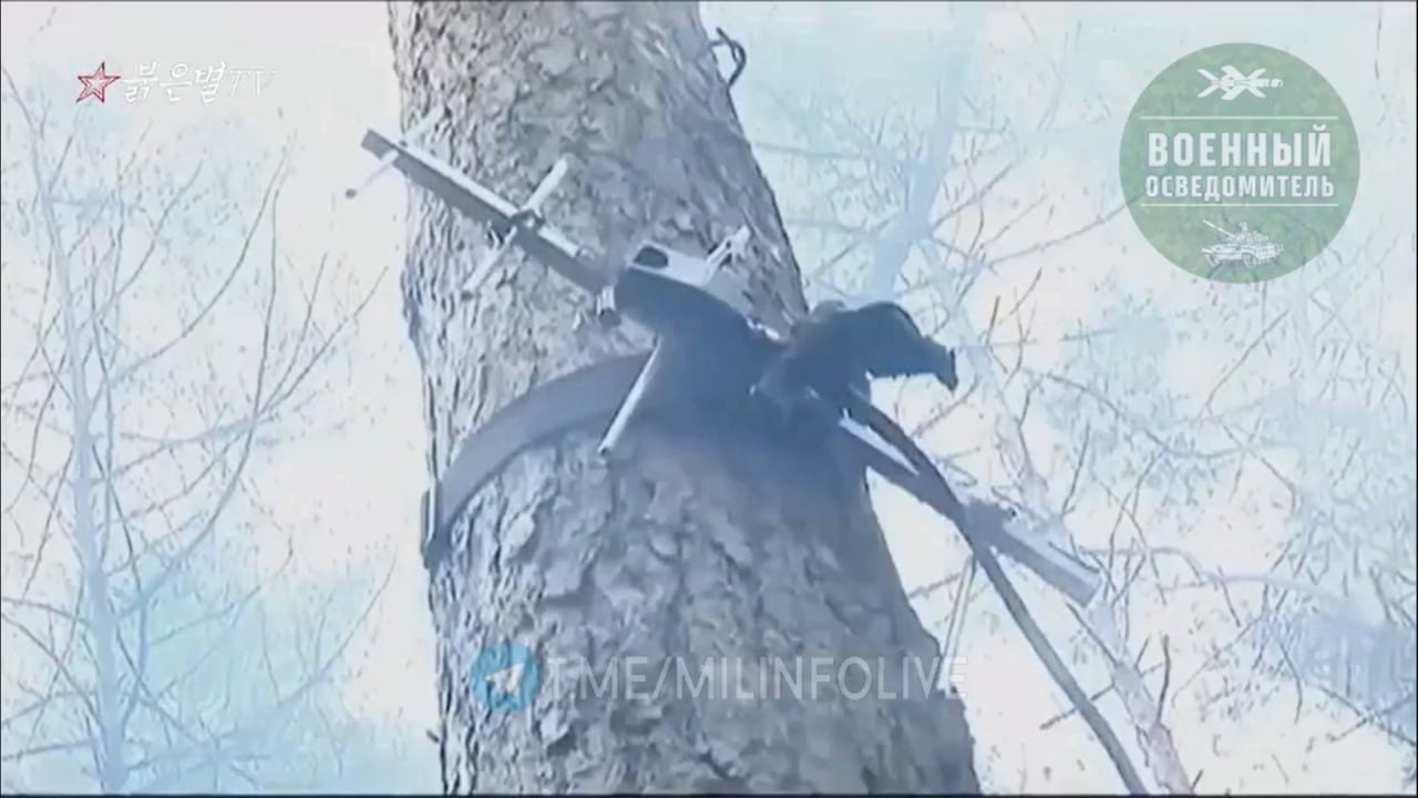 Изображение публикации c58ca551-5a7b-4c10-86b2-6686fa1f21bb