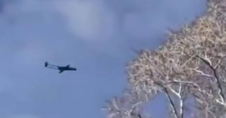 Изображение публикации c71f39a2-688b-44ea-9fe0-6a22455ace9f