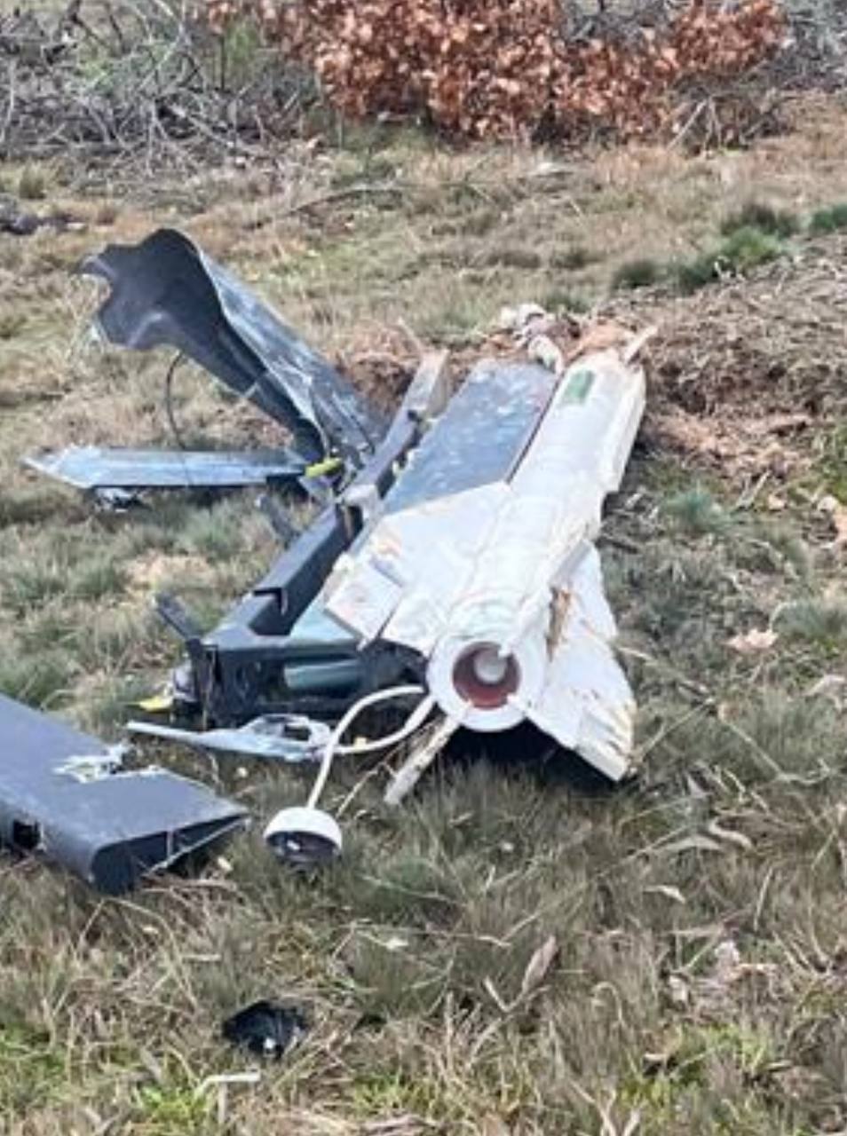 Изображение публикации d76de2c7-9aa2-473d-80f0-18b91098875a
