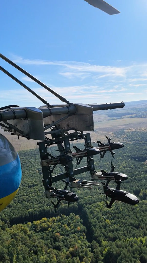Изображение публикации e0dfe114-e4ce-4381-9695-bc4d6619107d