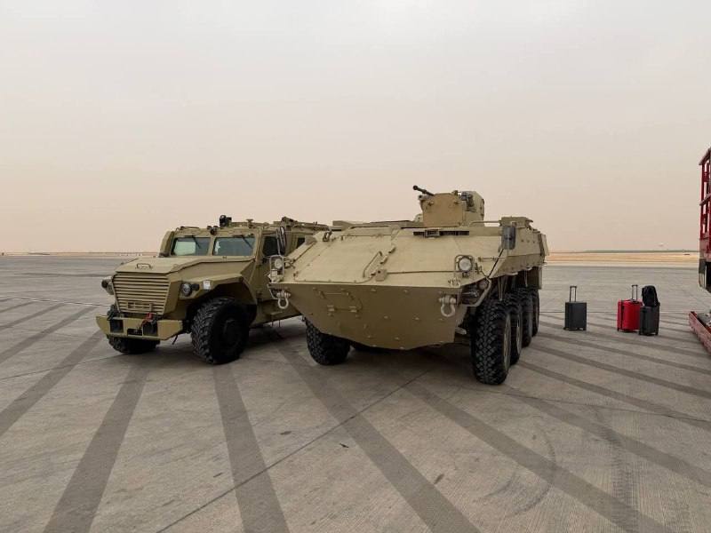 Изображение публикации e4193e3a-2507-44d4-9bee-bd1a90498d2b