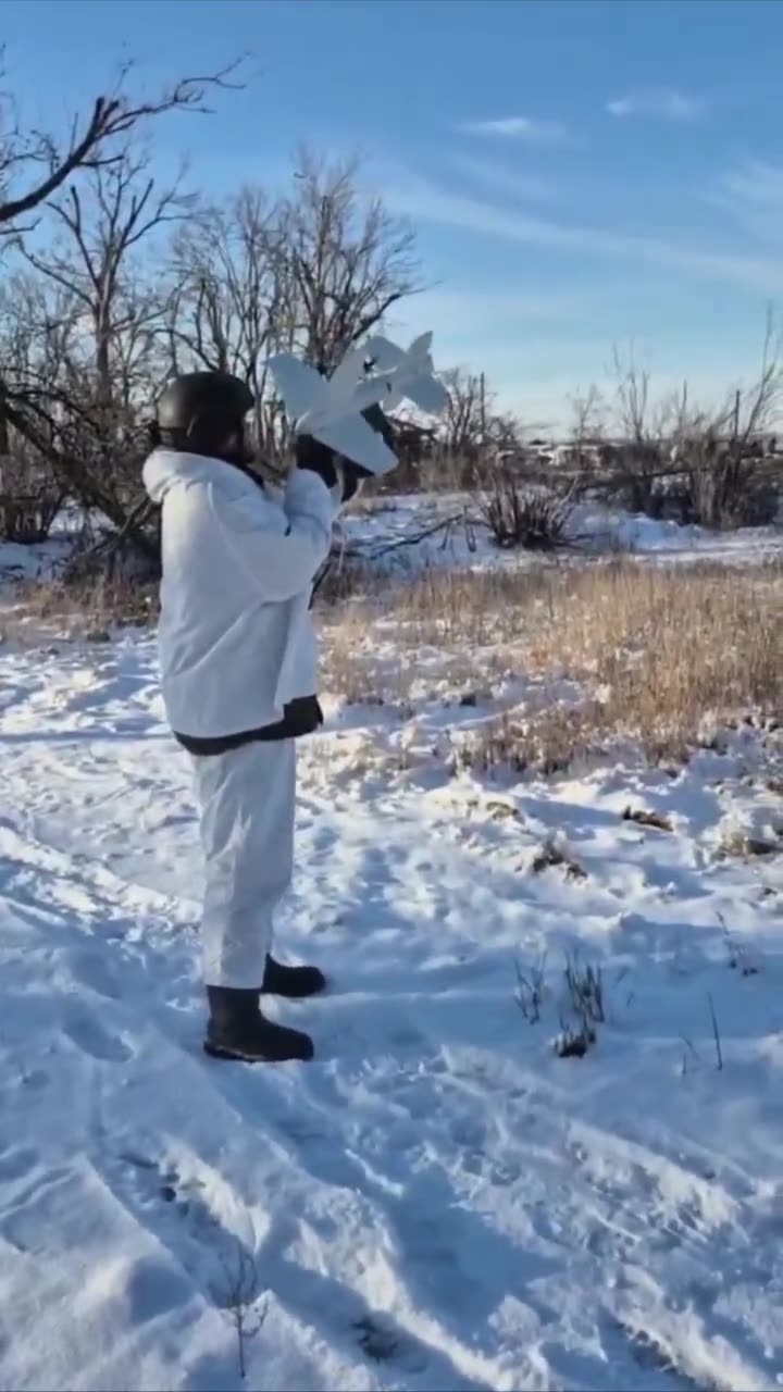 Превью видео