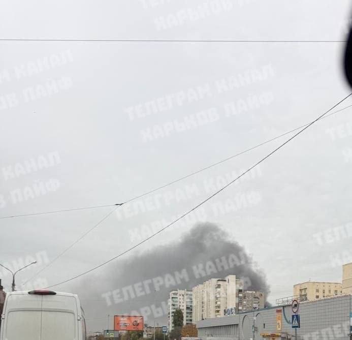 Изображение публикации e83e7ada-429d-4ad0-9b93-f8ed7e7b3166