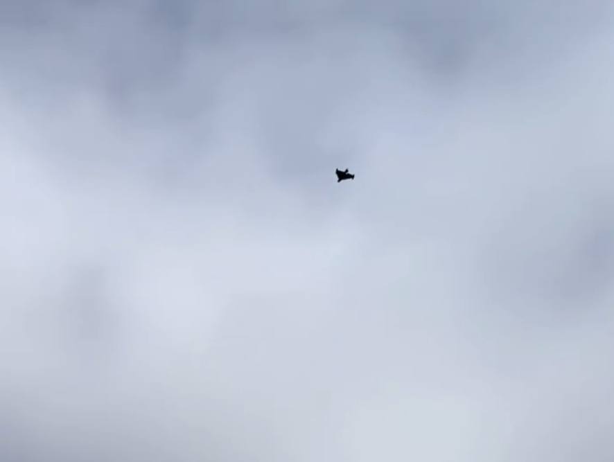 Изображение публикации f1f6991f-adc5-4679-8b26-c20a703282b5