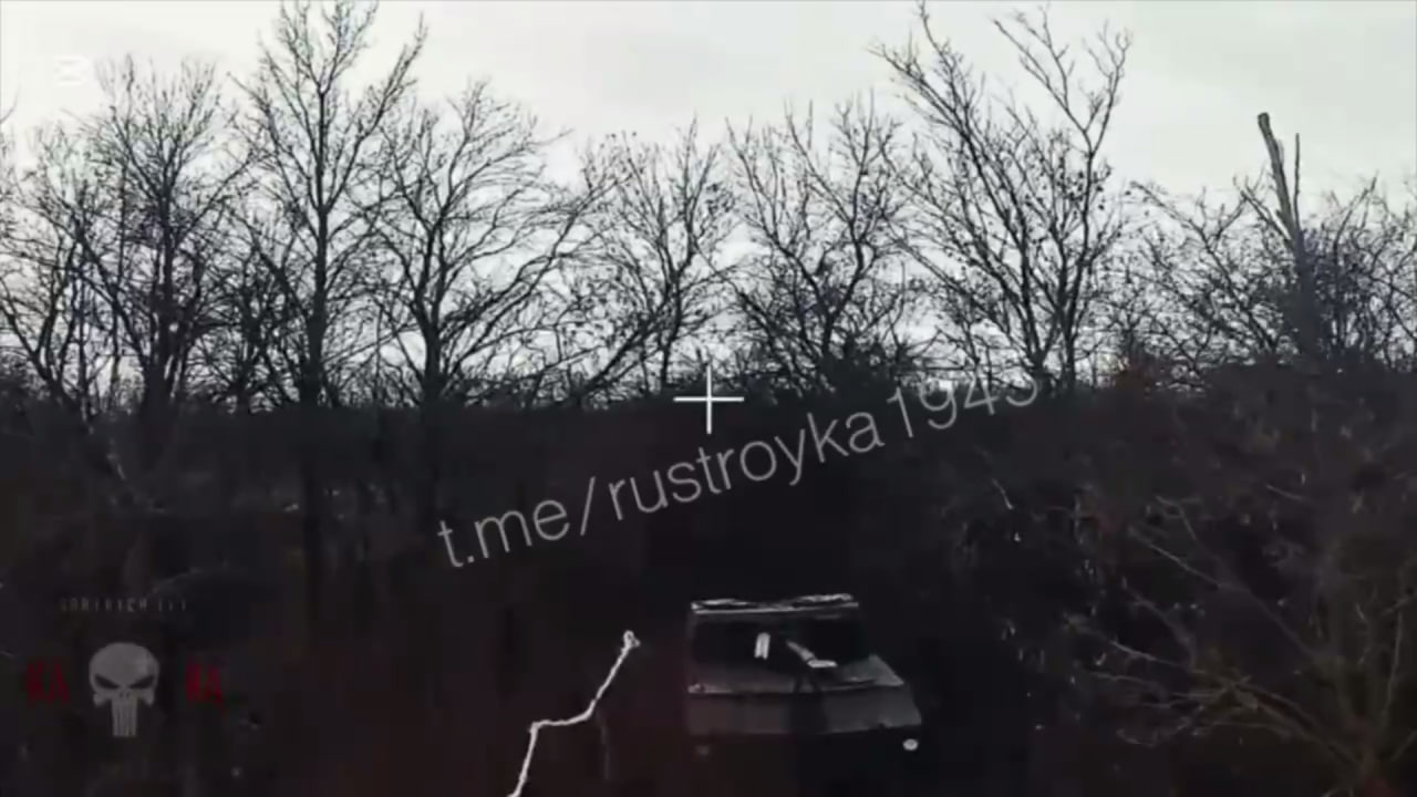 Изображение публикации f9faae3b-caae-4259-b9dc-4ae96a541228