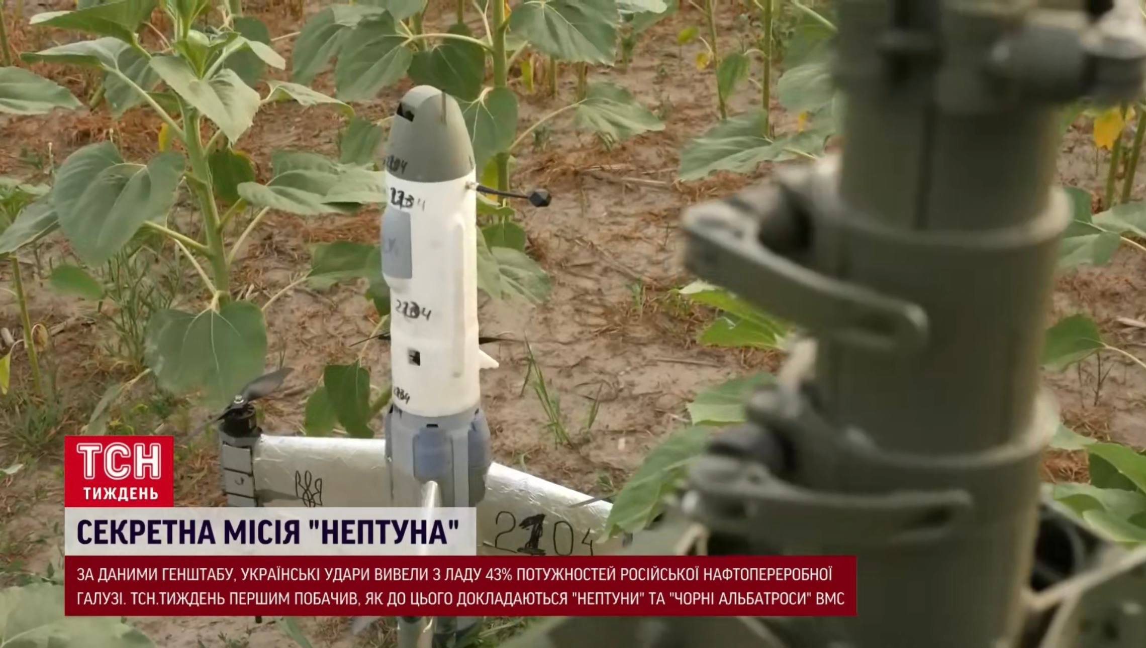 Изображение публикации fa707052-923b-4efc-9674-9f756dfe8124
