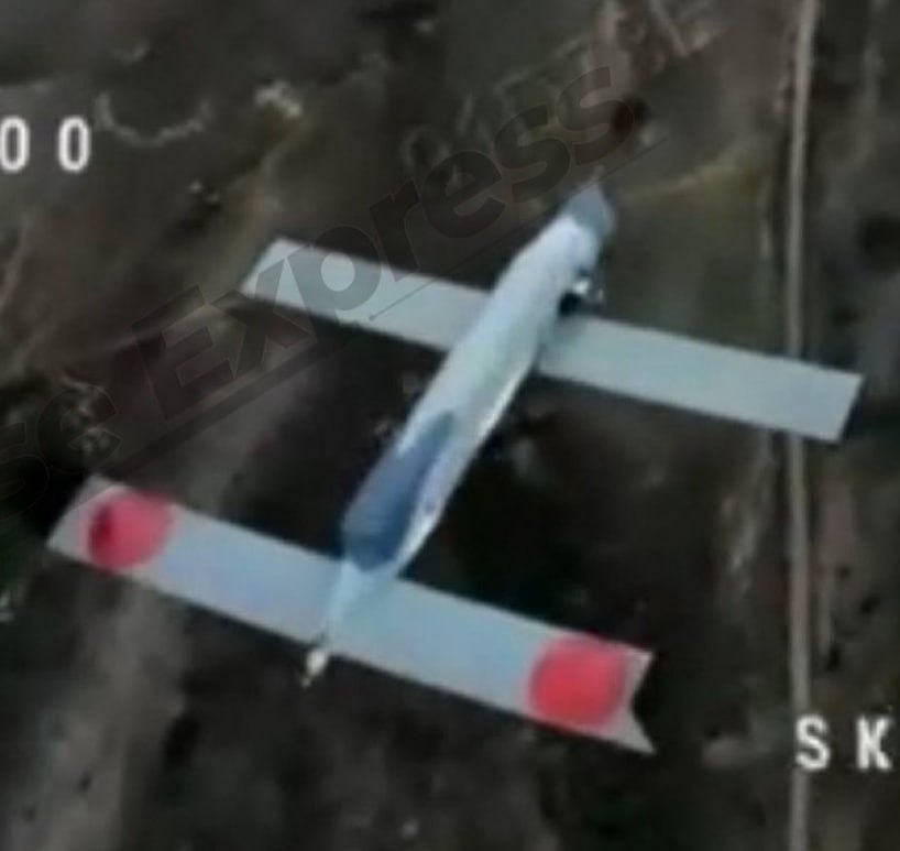 Изображение публикации fb0382b4-8f7e-4703-b1d3-e52492fb2286