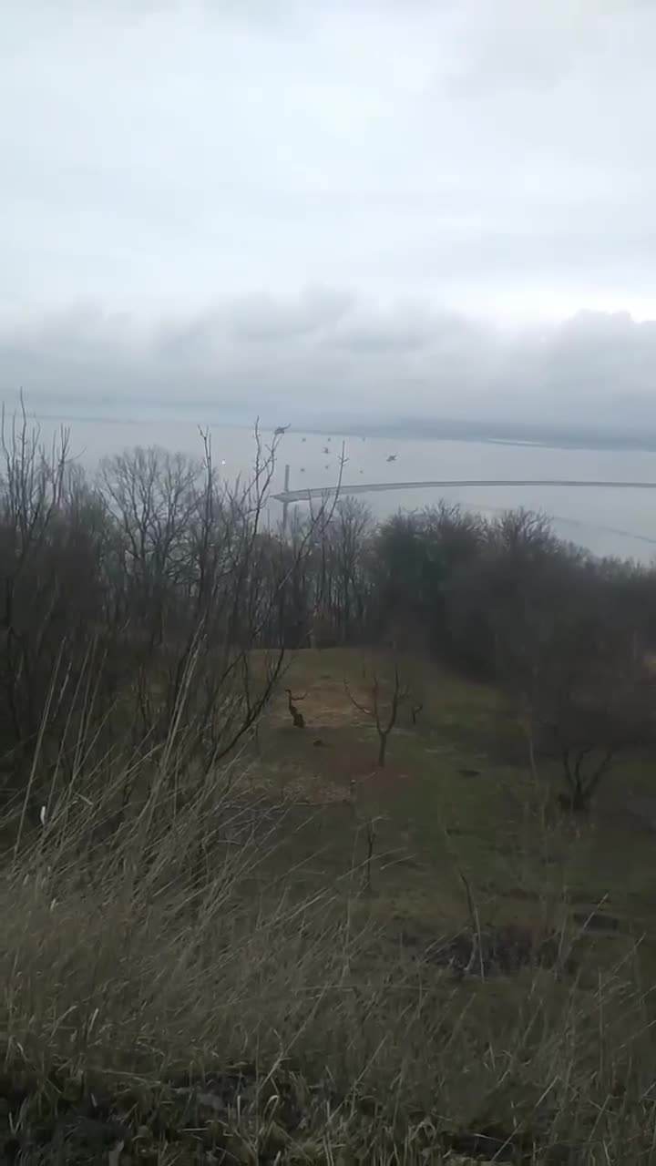 Превью видео