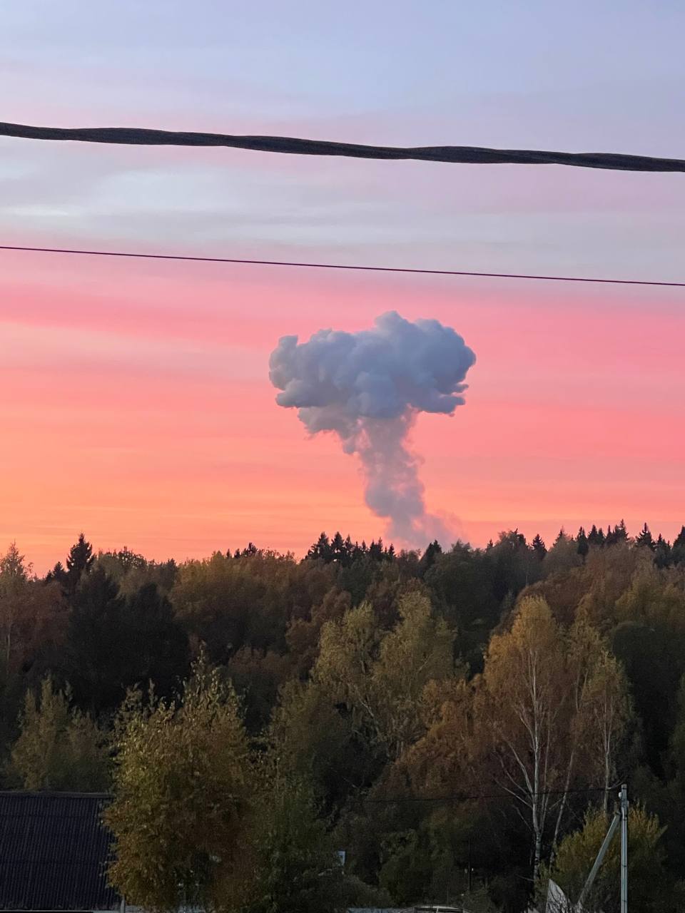 Изображение публикации fbe9413c-3304-446b-86fe-d55d2e60ba2e