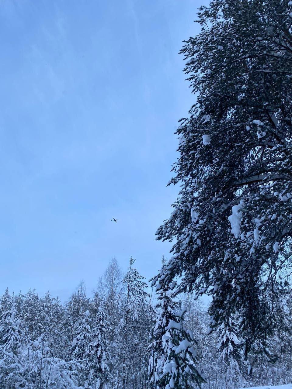 Изображение публикации fc596f05-a672-4750-9693-249cf01624d5