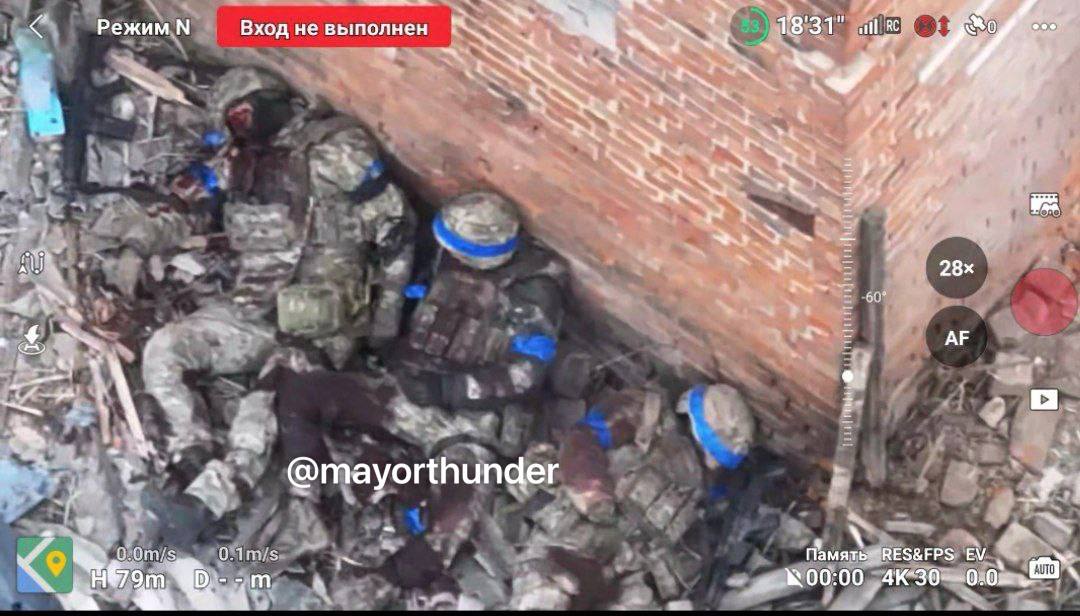 Изображение публикации ff091484-105d-4a74-988a-3d78b65779e7